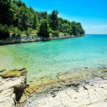 Family Friendly House With A Swimming Pool Cove Koramaslinova - Koromaslinova, Brac - 15479 * Milna (Brac)