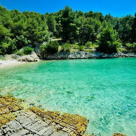 Family Friendly House With A Swimming Pool Cove Koramaslinova - Koromaslinova, Brac - 15479 Milna (Brac)