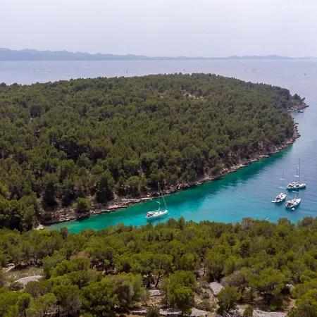 Family Friendly House With A Swimming Pool Cove Koramaslinova - Koromaslinova, Brac - 15479 Holiday home *