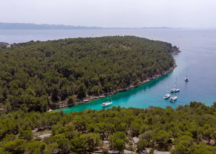 Family Friendly House With A Swimming Pool Cove Koramaslinova - Koromaslinova, Brac - 15479 Hébergement de vacances *